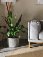 Basket Nandi Grey