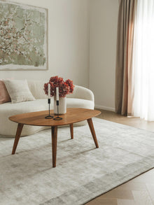 Viscose Rug Nova Border Light Grey