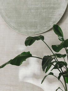 Viscose Rug Nova Light Grey