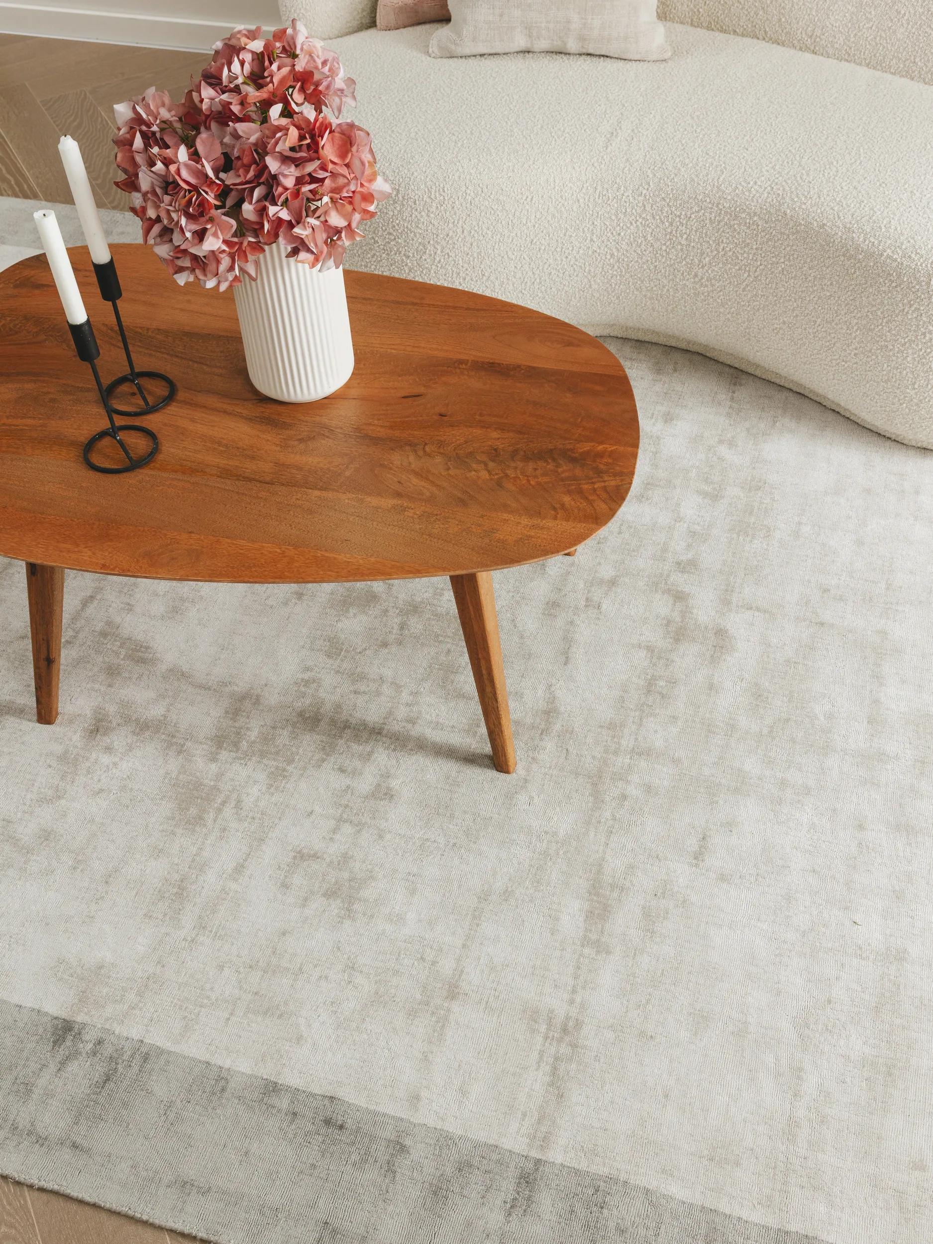 Viscose Rug Nova Border Light Grey