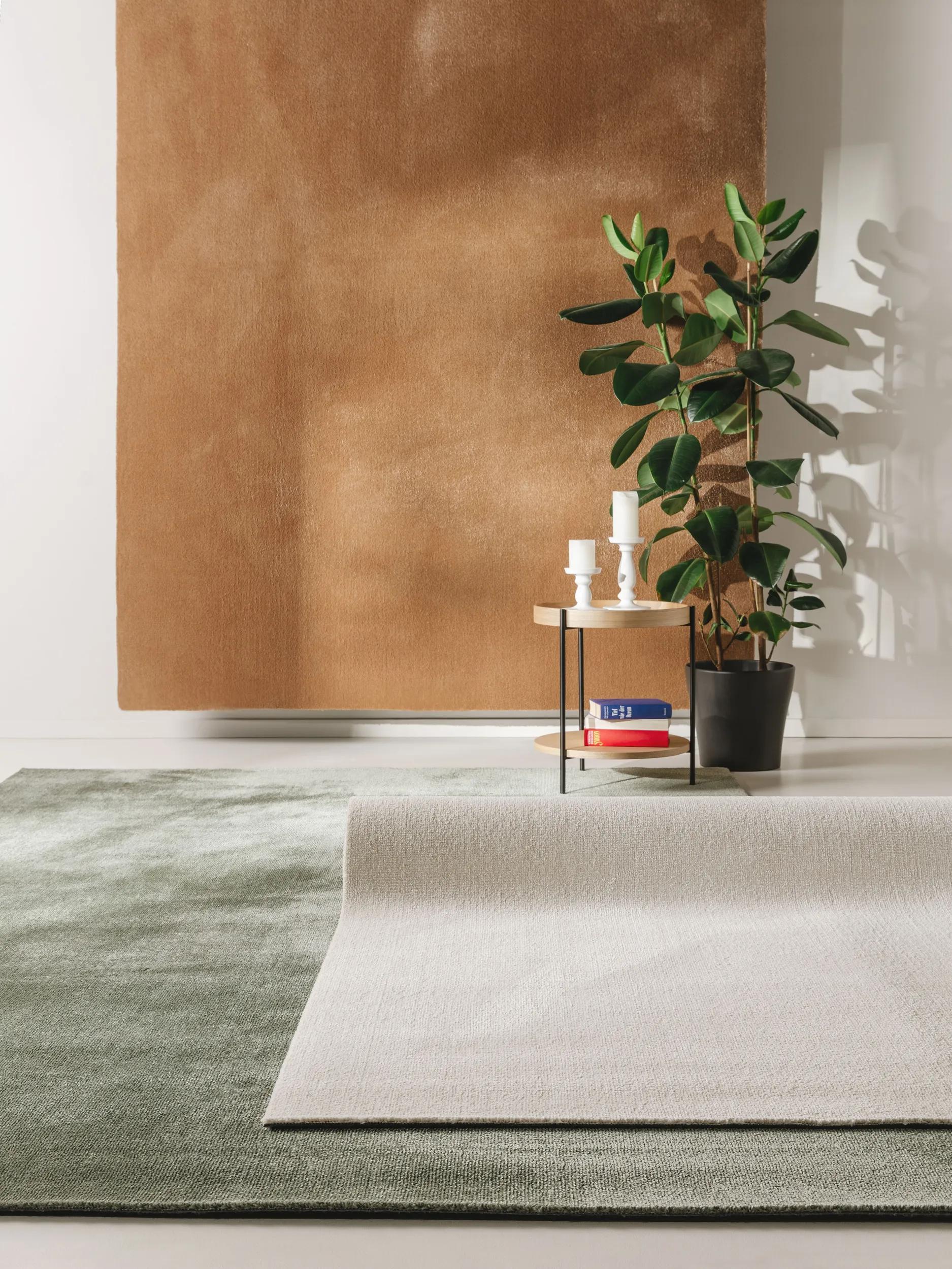Washable Rug Paola Brown