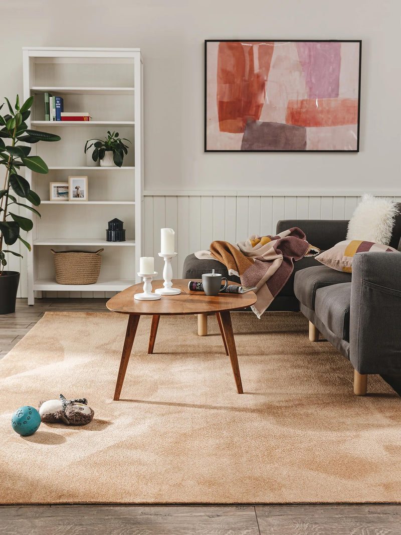 Washable Rug Paola Brown