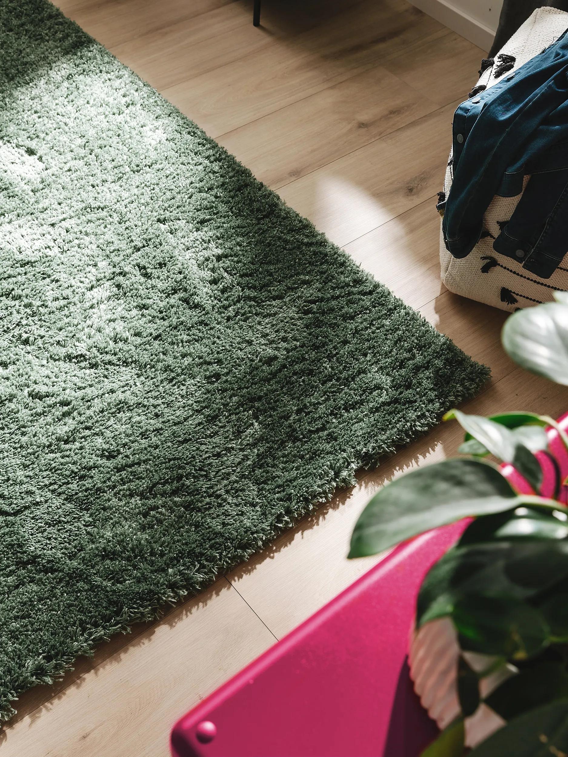 Tapis shaggy Ricky vert