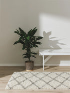 Shaggy Rug Soho Cream