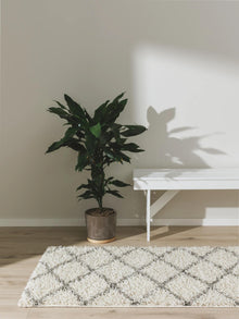 Shaggy Rug Soho Cream