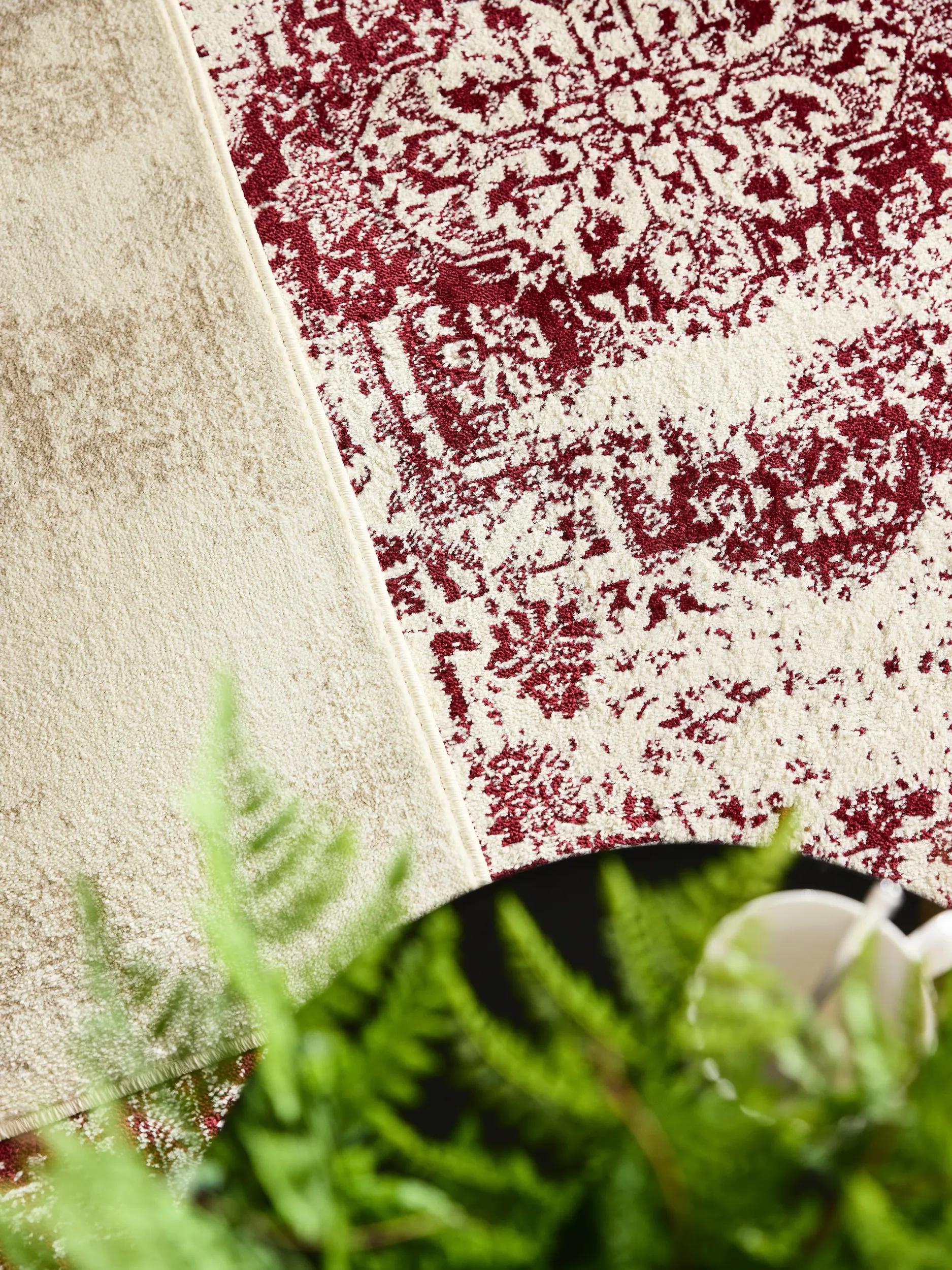 Rug Suki Cream/Red