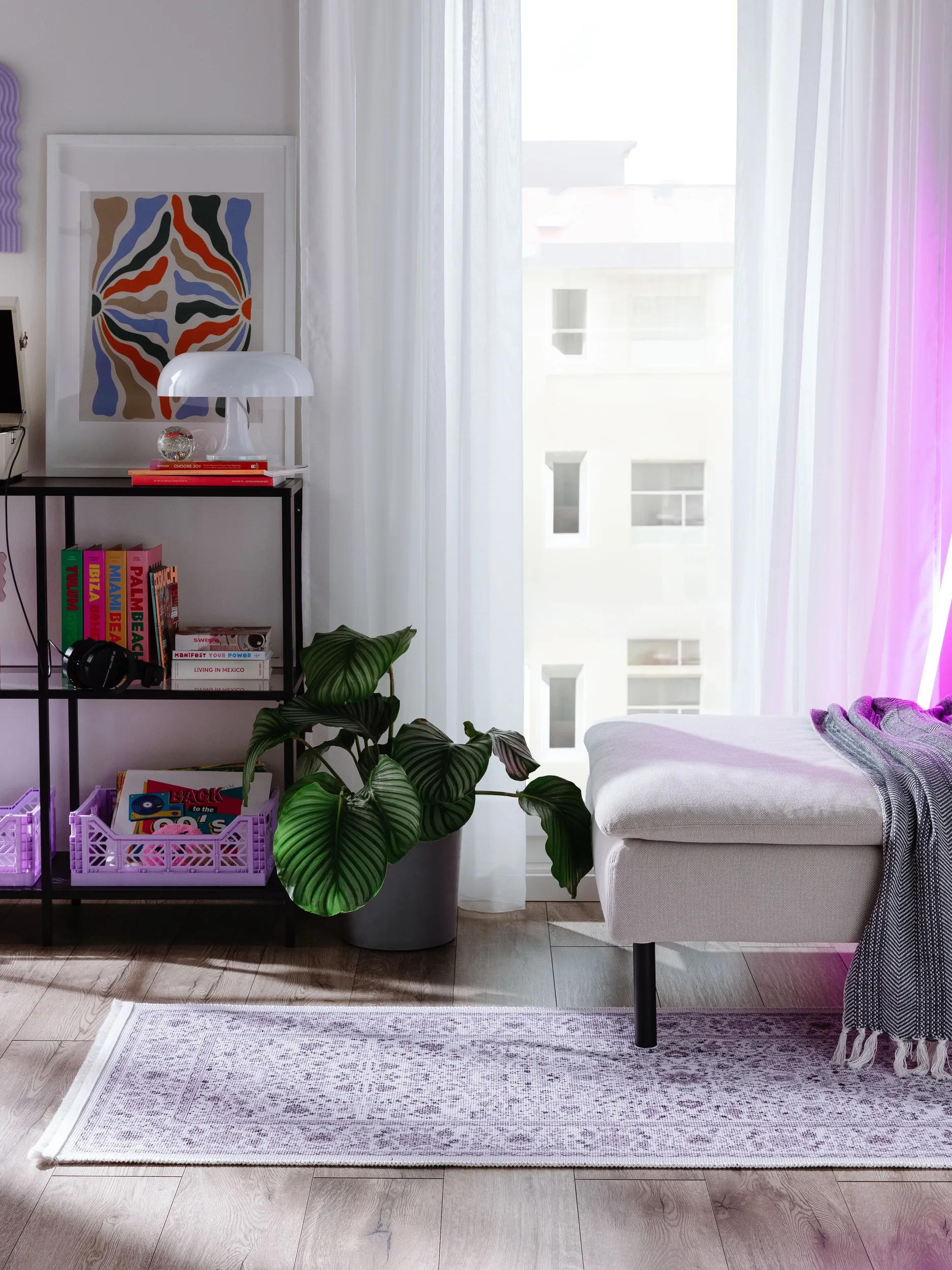 Runner Toulouse Purple